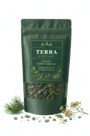 tisane forêt boréale